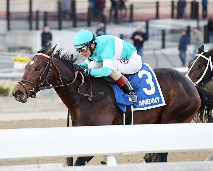 Mind Control wins the 2019 Jerome Stakes