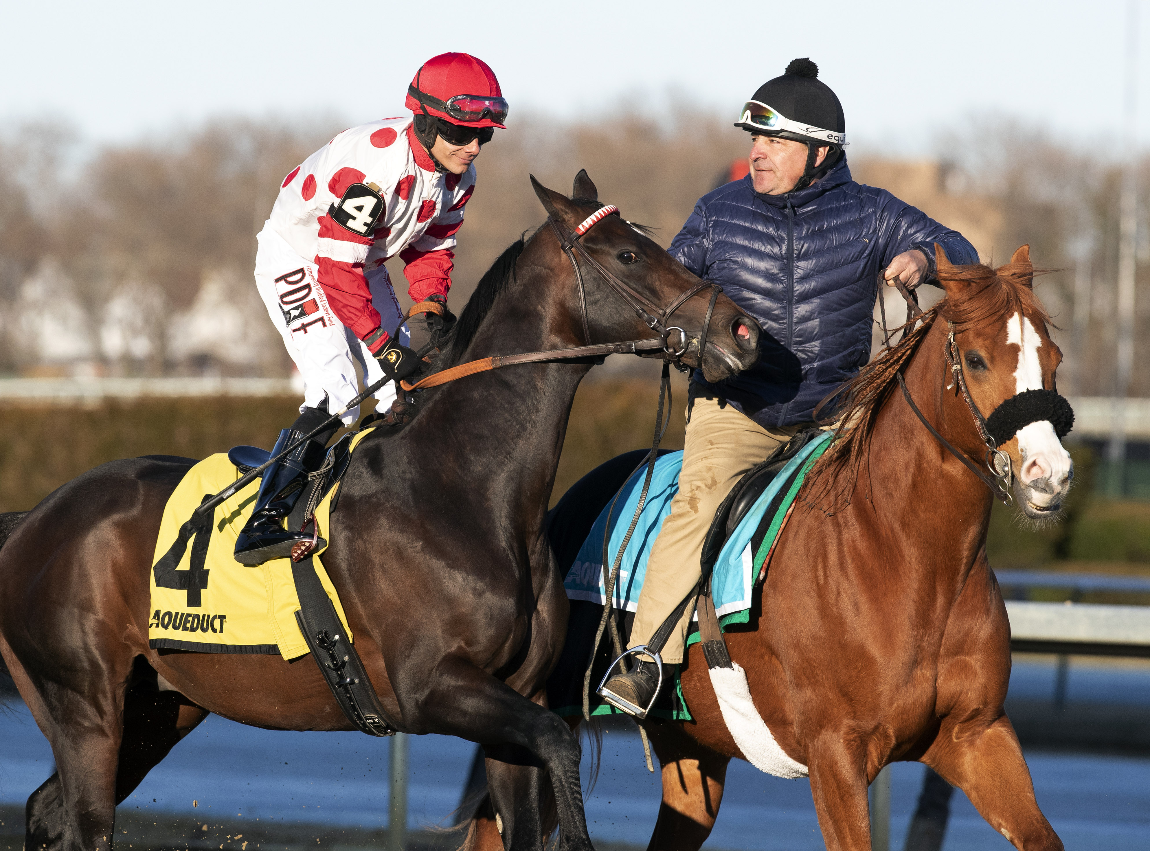 Mind Control in post parade for 2020 Tom Fool