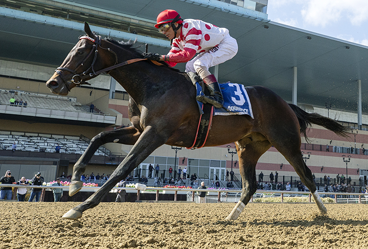 Mind Control wins the 2019 Bay Shore Stakes at Belmont Park