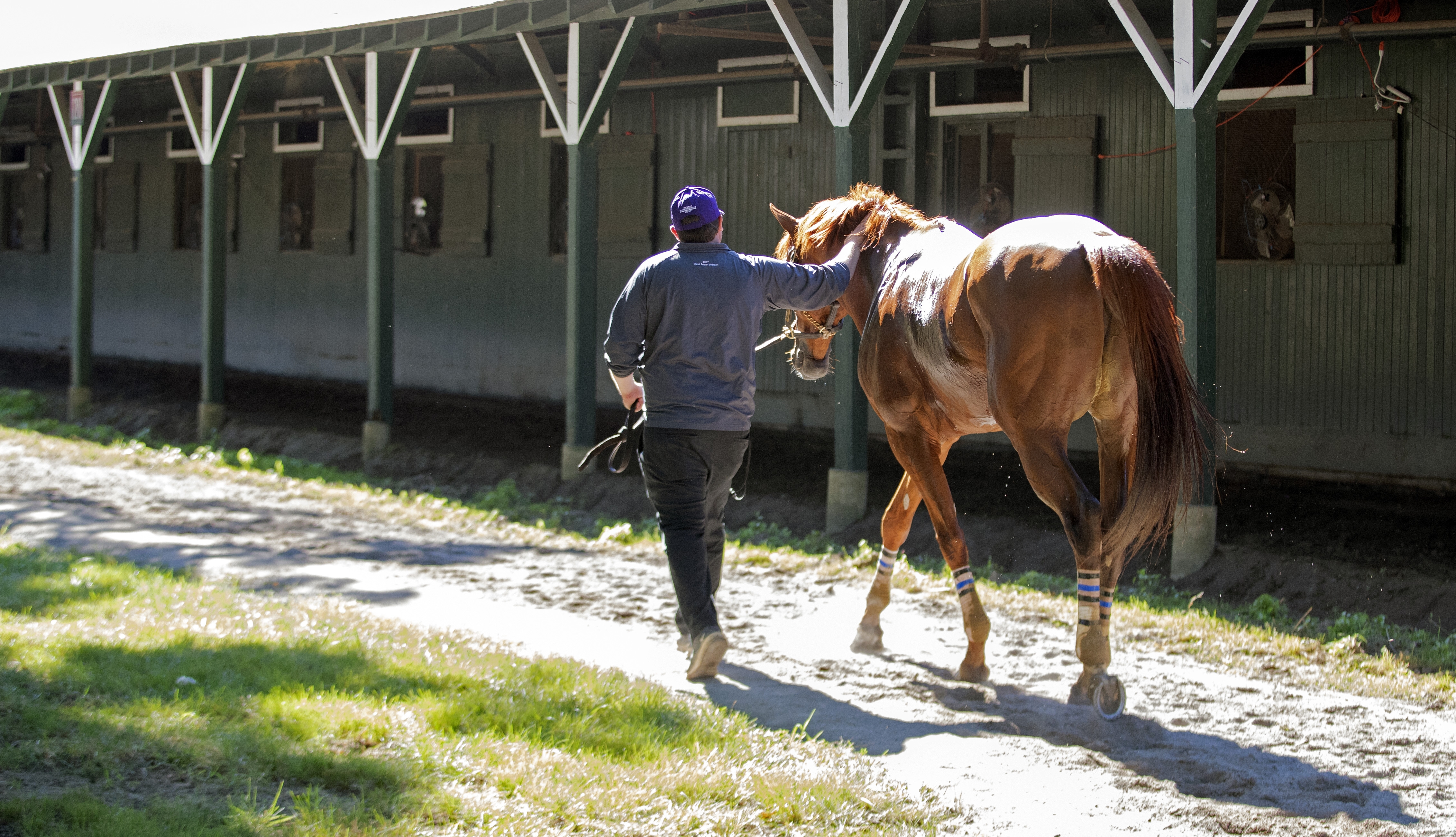 Trainer Chad Summers with Mind Your Biscuits