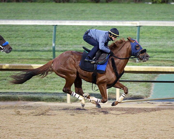 Mind Your Biscuits trains at Churchill on Oct. 19