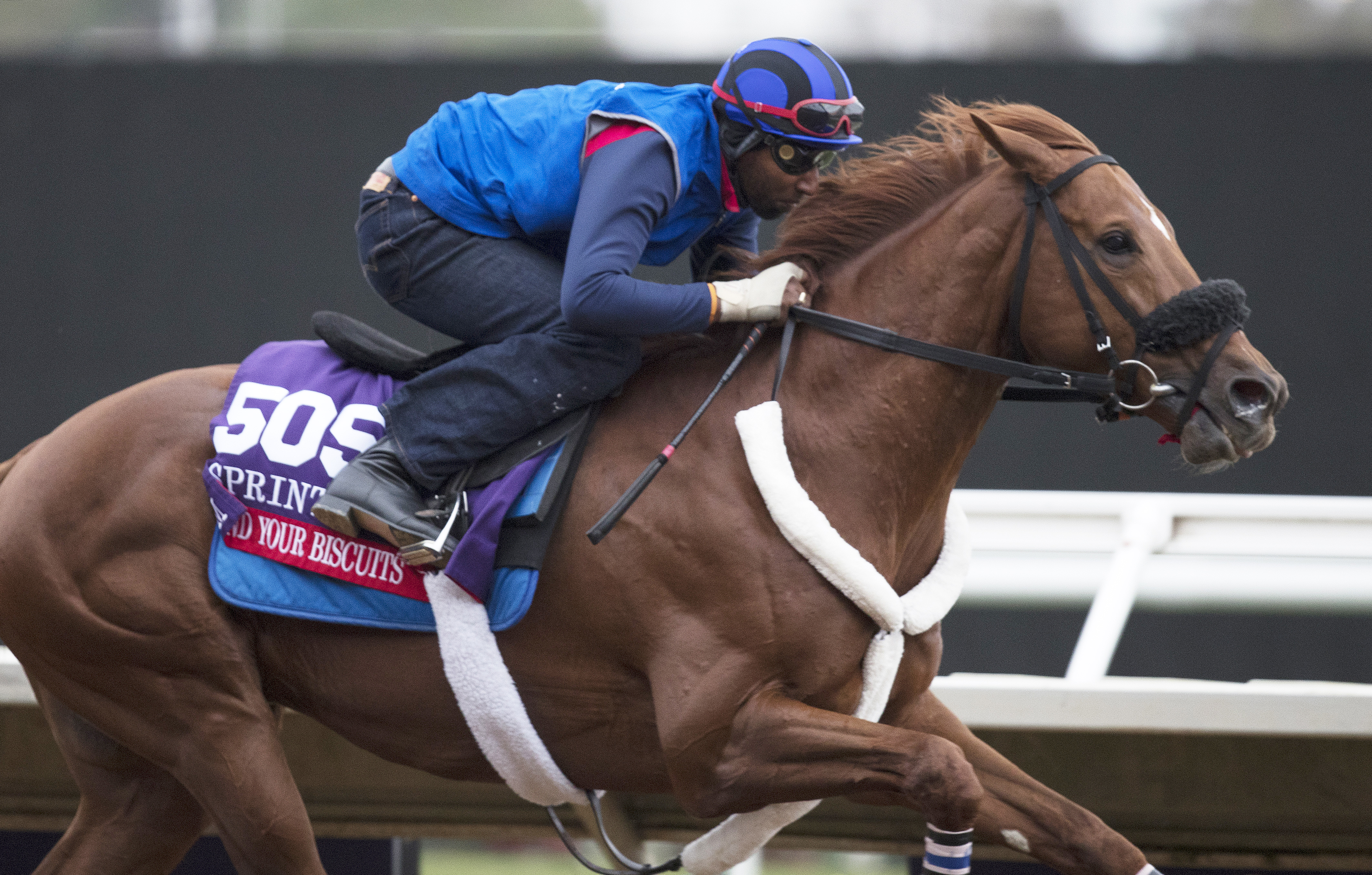Mind Your Biscuits trains at Del Mar on Oct. 30