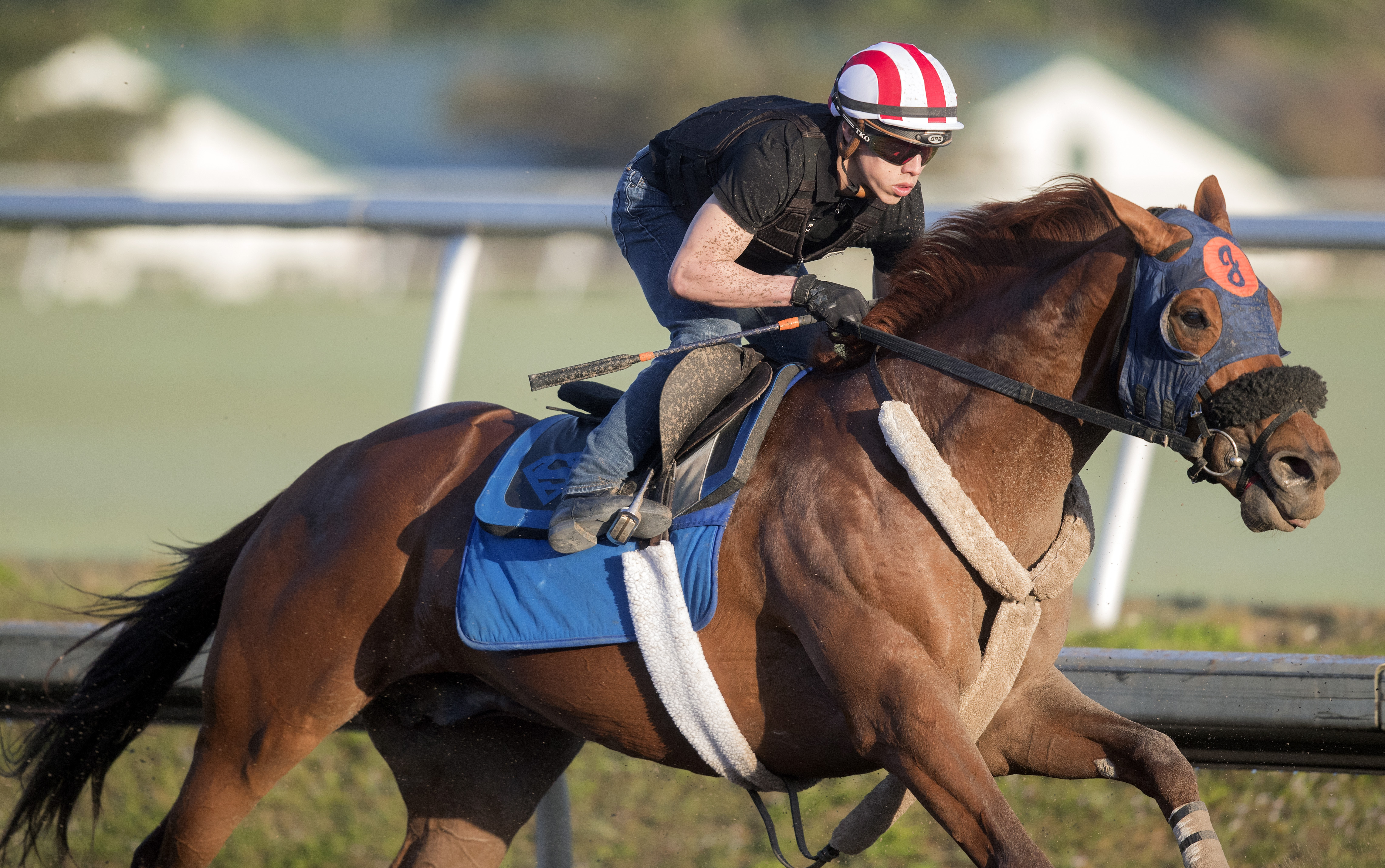 Mind Your Biscuits trains at Gulfstream on Feb. 2