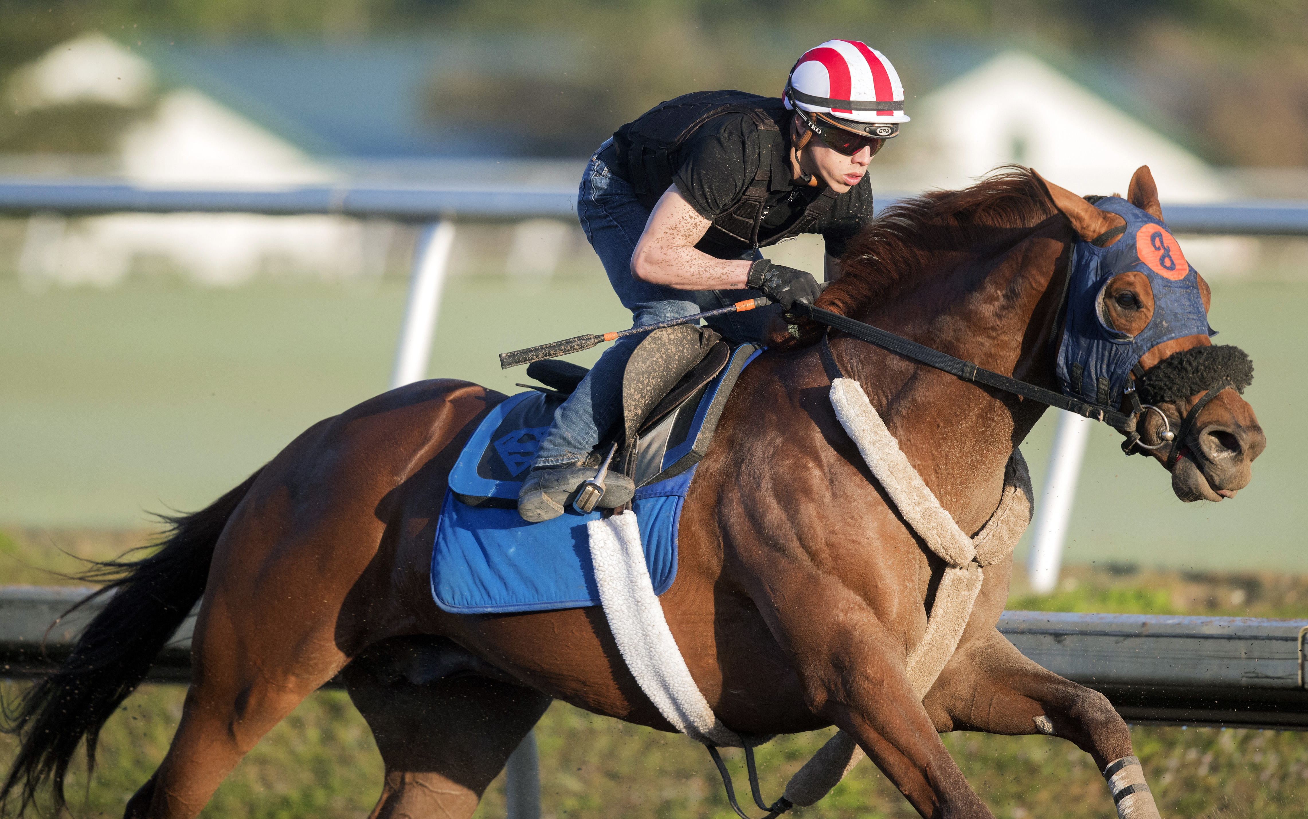 Mind Your Biscuits trains at Palm Meadows on Feb. 2