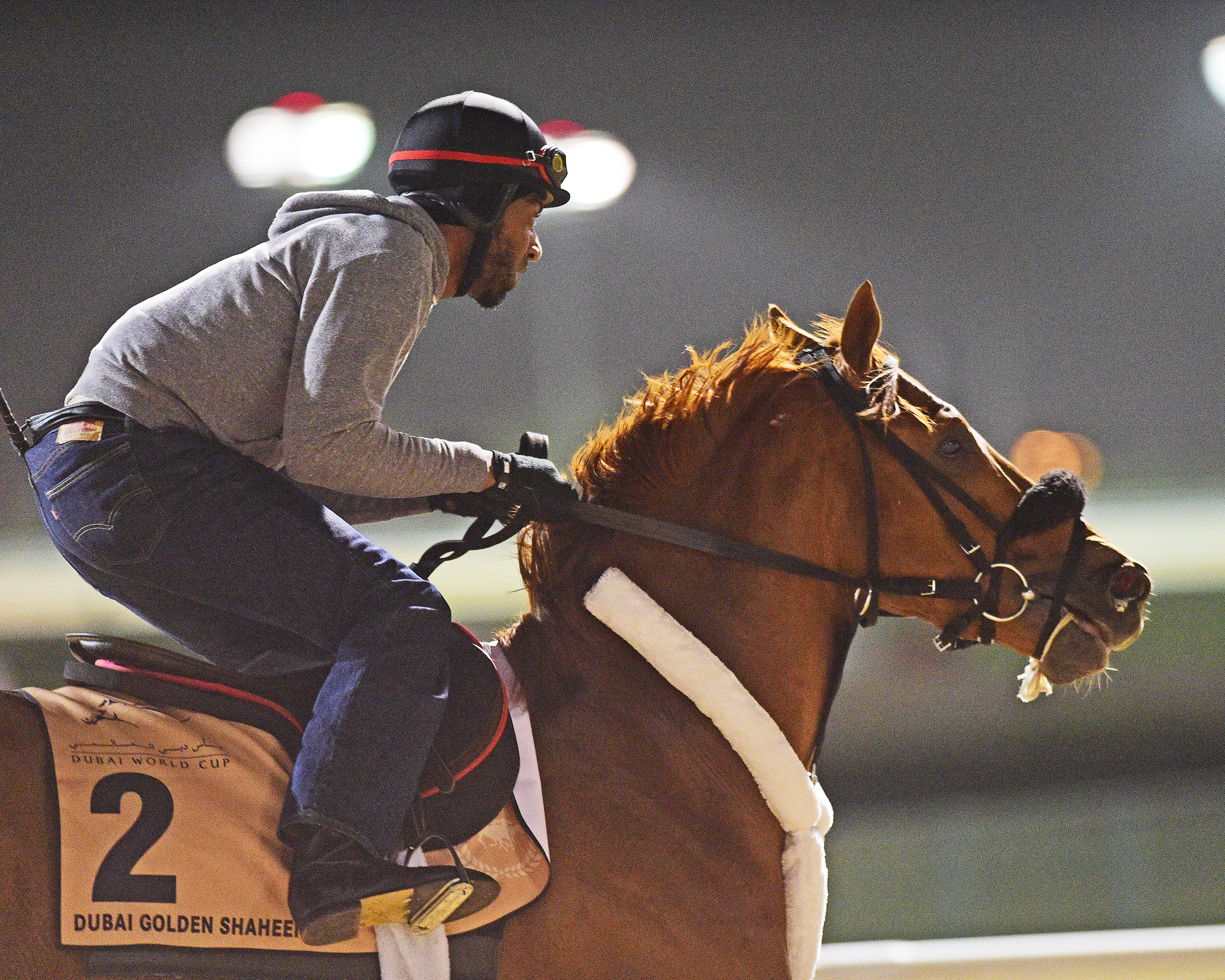 Mind Your Biscuits at Meydan on March 20
