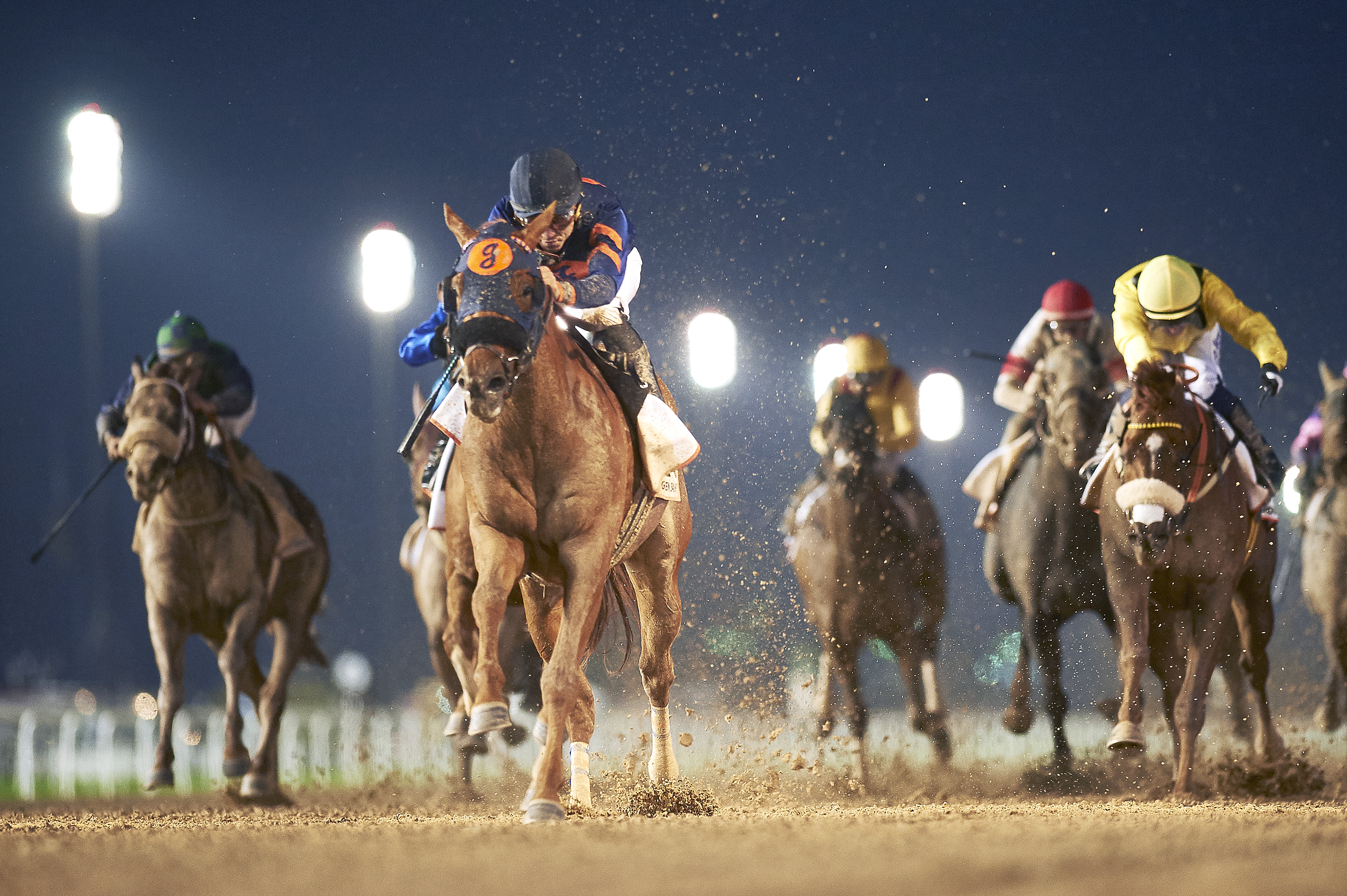 Mind Your Biscuits wins the 2017 Dubai Golden Shaheen