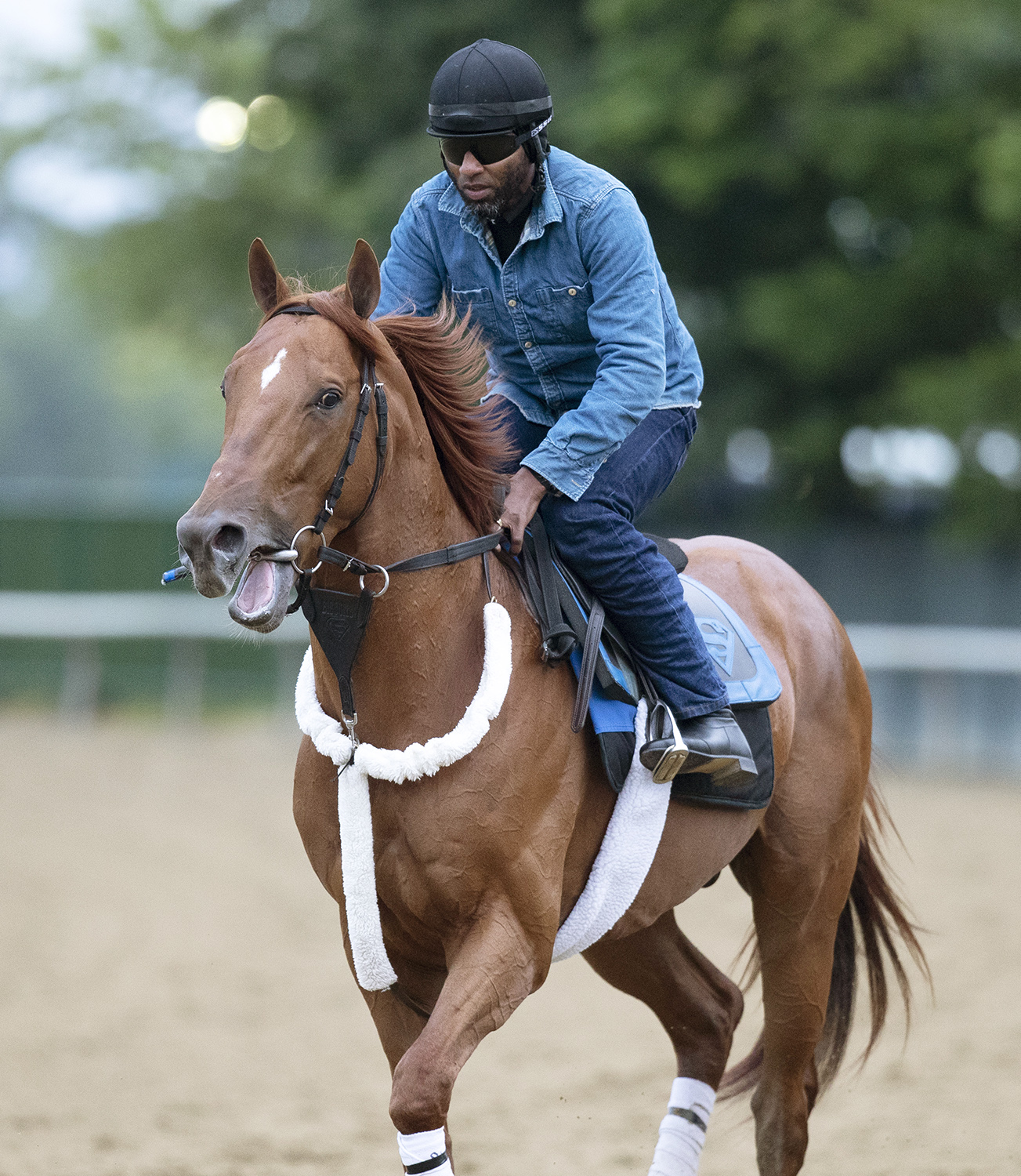 Mind Your Biscuits at Belmont on June 7