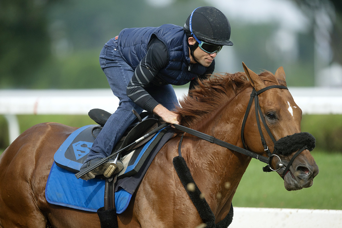 Mind Your Biscuits trains at Saratoga on July 27