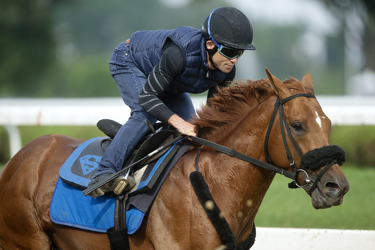 Mind Your Biscuits trains at Saratoga on July 27