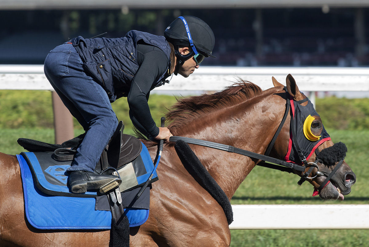 Mind Your Biscuits trains at Saratoga on July 20
