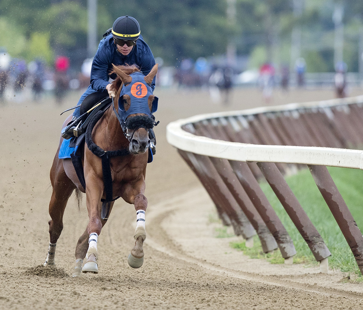Mind Your Biscuits trains at Saratoga on Aug. 31