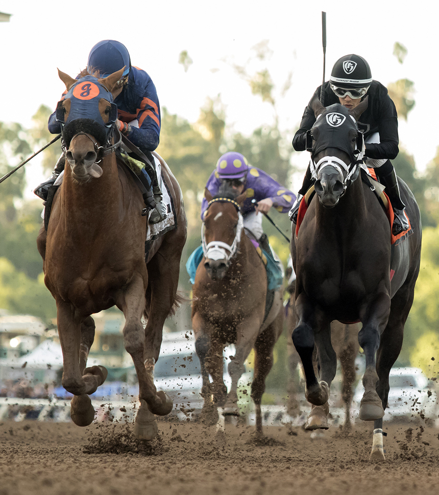 Sharp Azteca finishes second in the Malibu Stakes