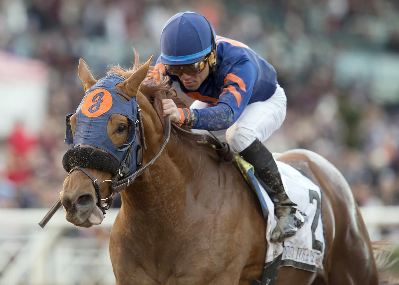 Mind Your Biscuits wins the Malibu