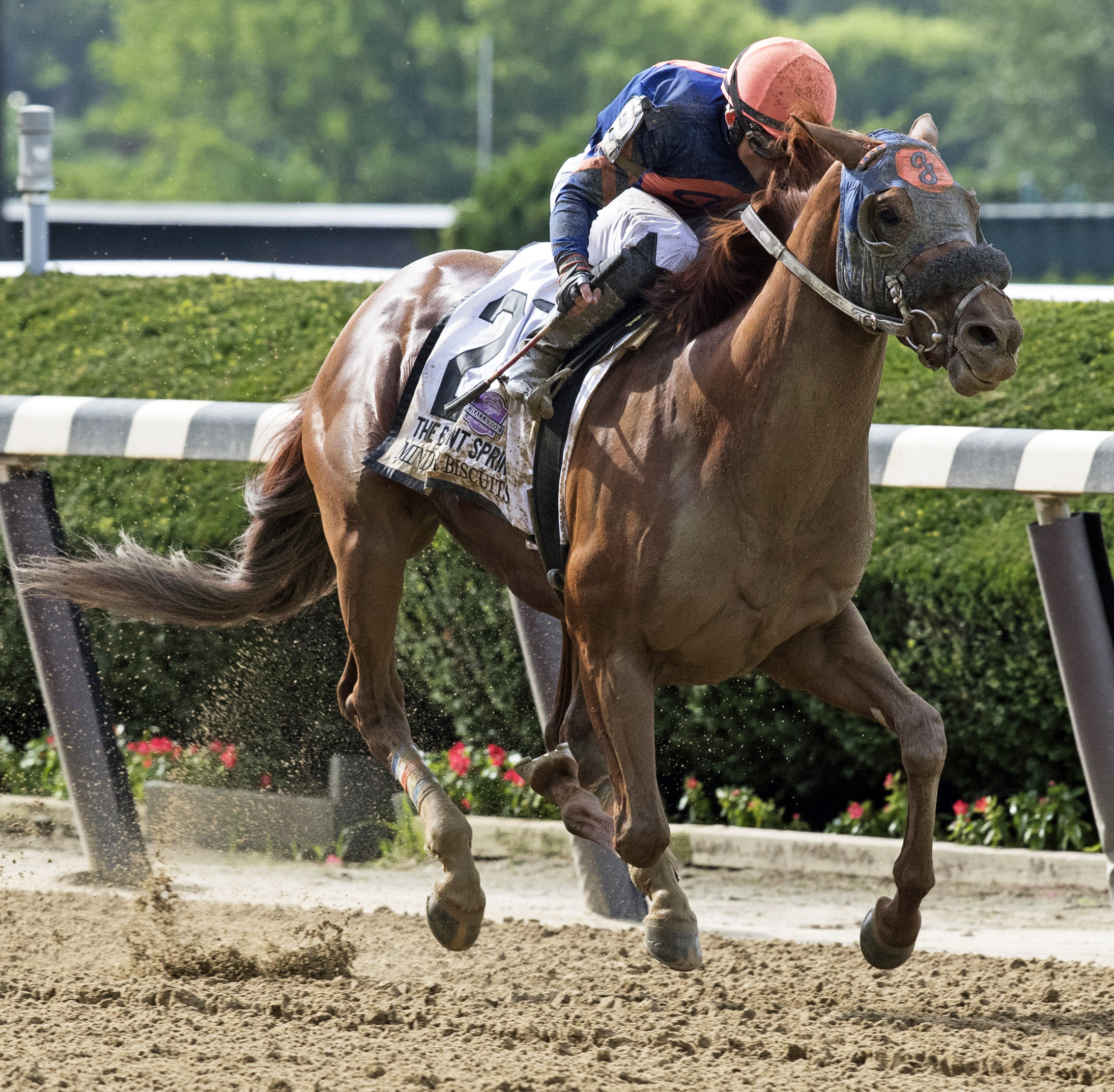 Mind Your Biscuits wins the 2017 Belmont Sprint Championship