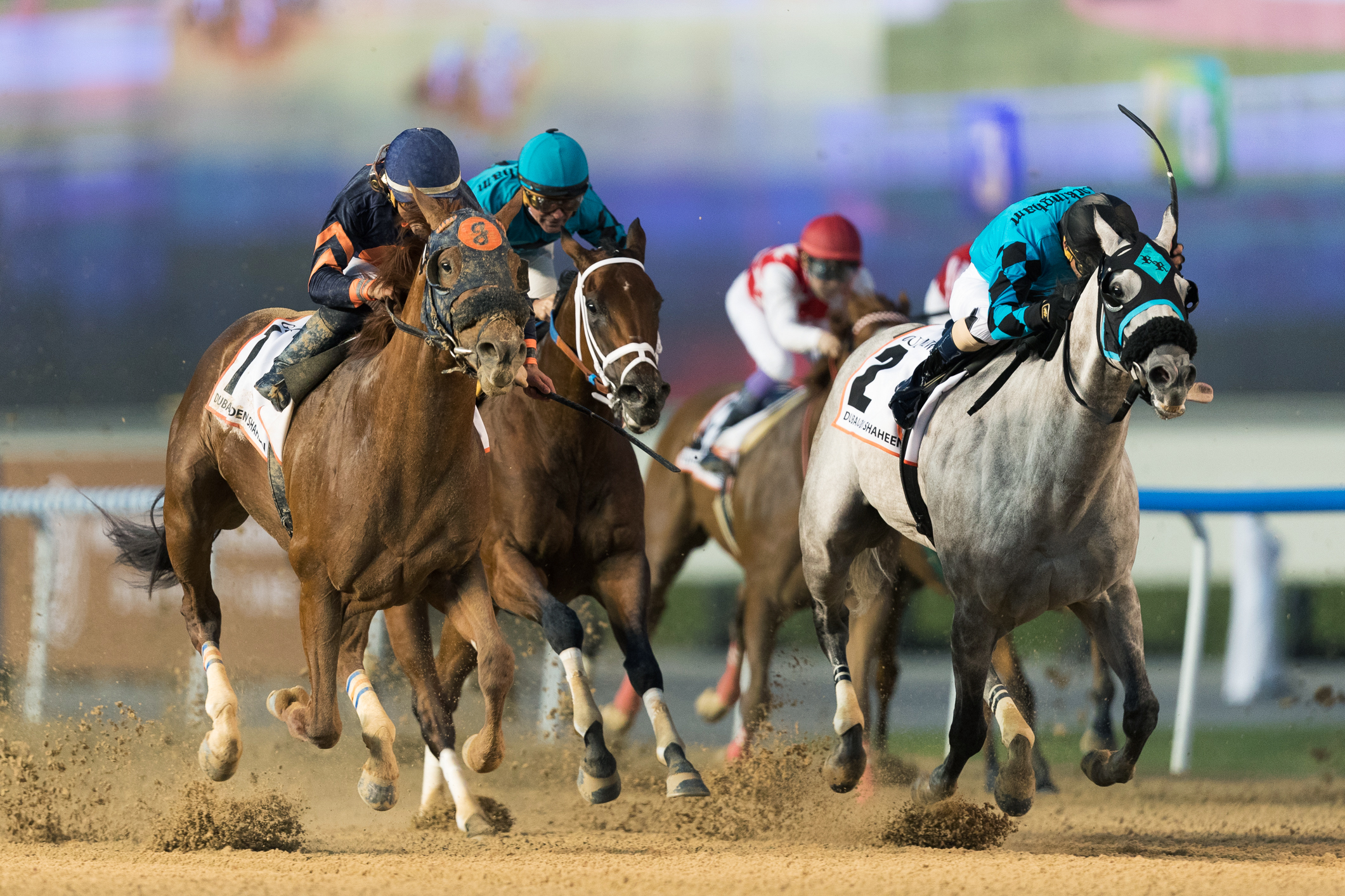 Mind Your Biscuits wins the 2018 Golden Shaheen