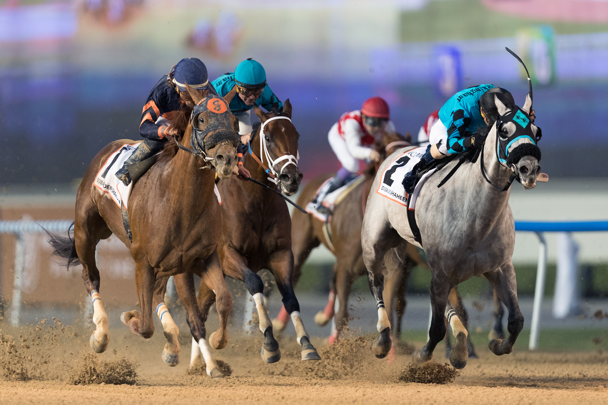 X Y Jet finishes second in the Golden Shaheen