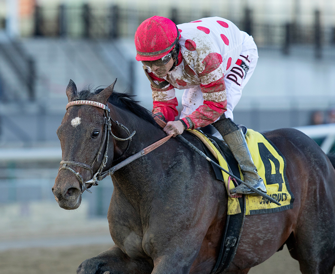 Mind Control wins the 2020 Tom Fool Handicap at Aqueduct