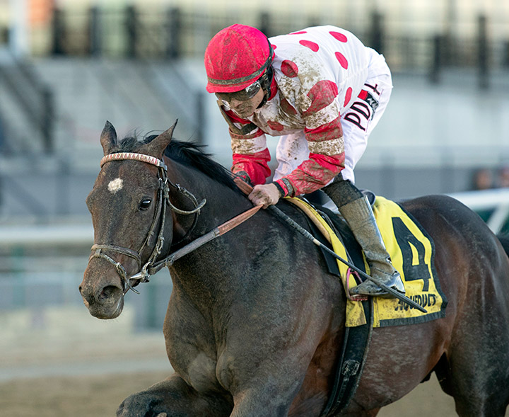 Mind Control wins the 2020 Tom Fool Handicap at Aqueduct