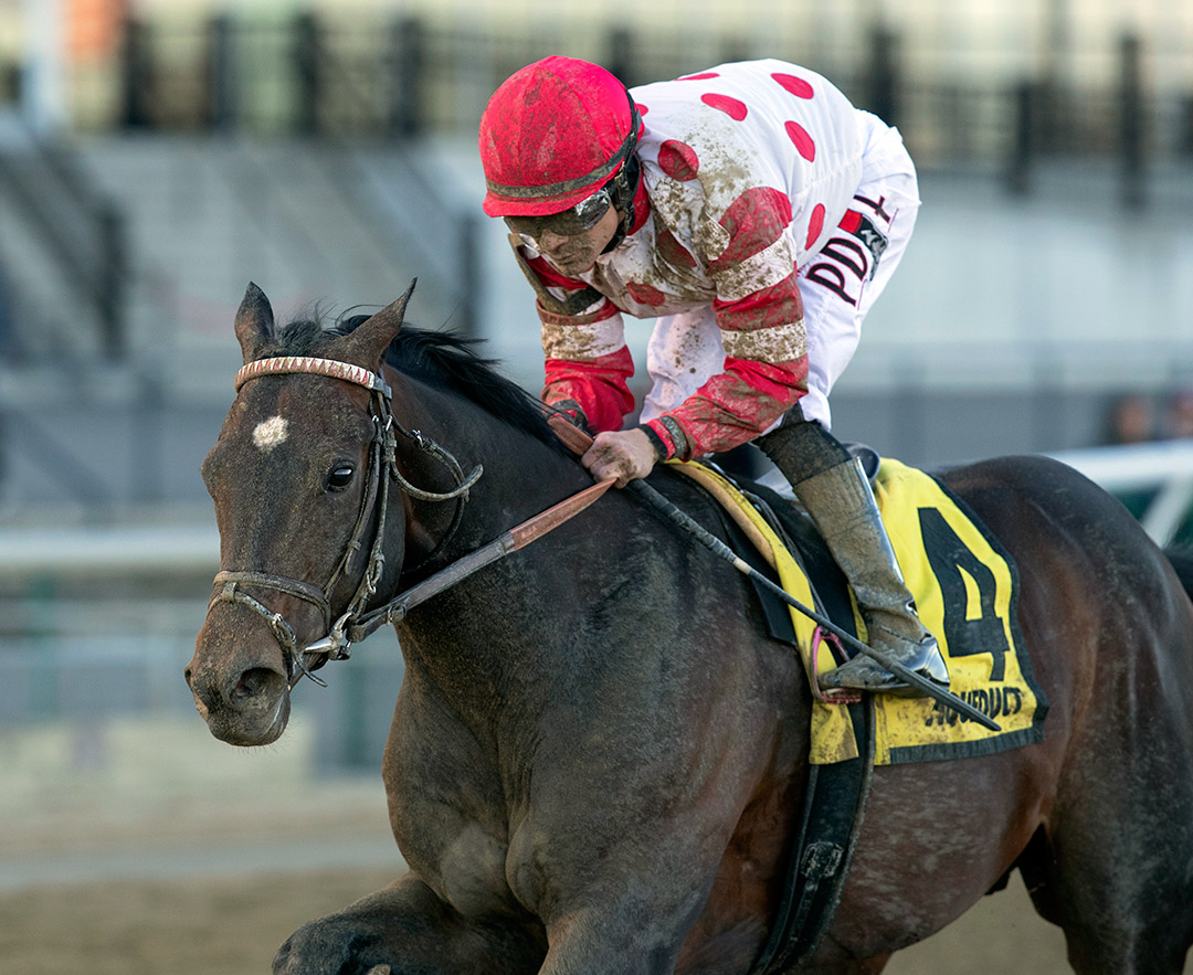 Mind Control wins the 2020 Tom Fool Handicap at Aqueduct
