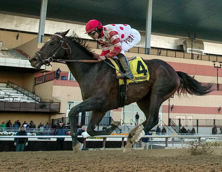 Mind Control wins the 2020 Tom Fool Handicap at Aqueduct
