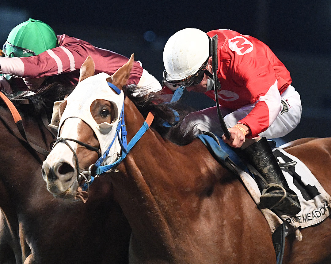Minecraft Maniac wins the 2020 Gov. Terry Branstad Stakes at Prairie Meadows