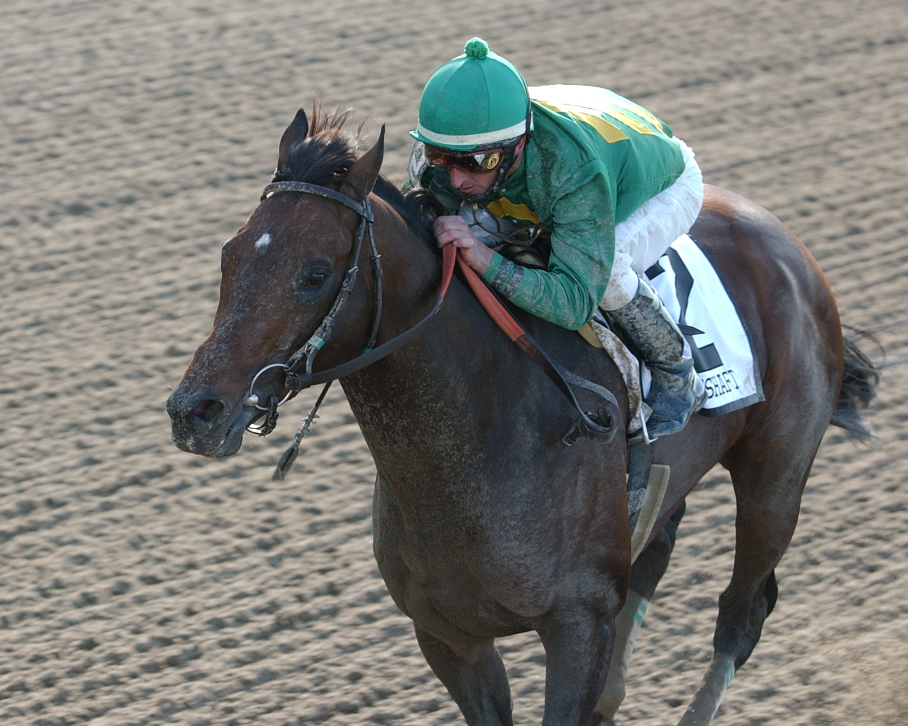Mineshaft