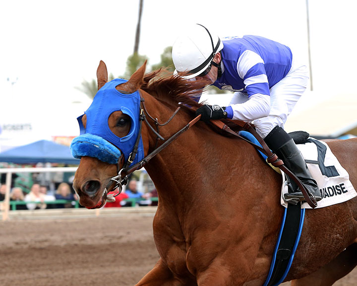 Minister of Soul wins the 2019 Phoenix Gold Cup at Turf Paradise