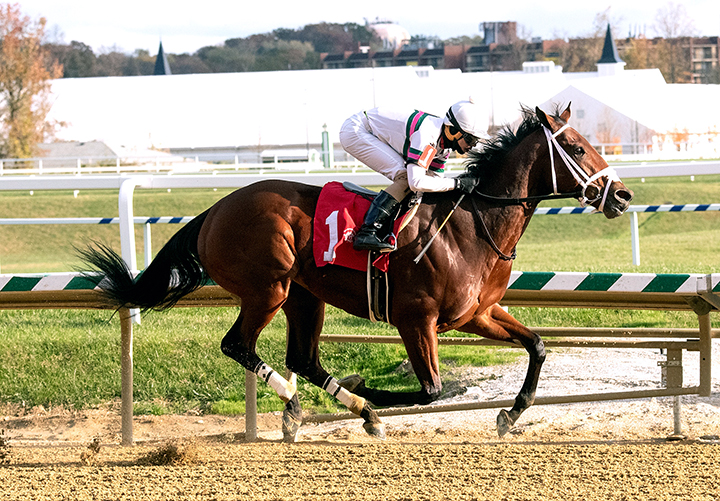 Minit to Stardom wins a Nov. 8 allowance race at Laurel Park