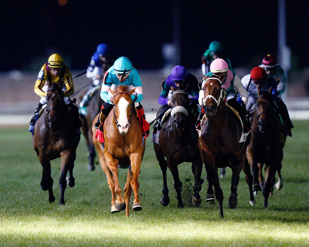 Mintd wins the 2021 Mint Julep Stakes at Churchill Downs