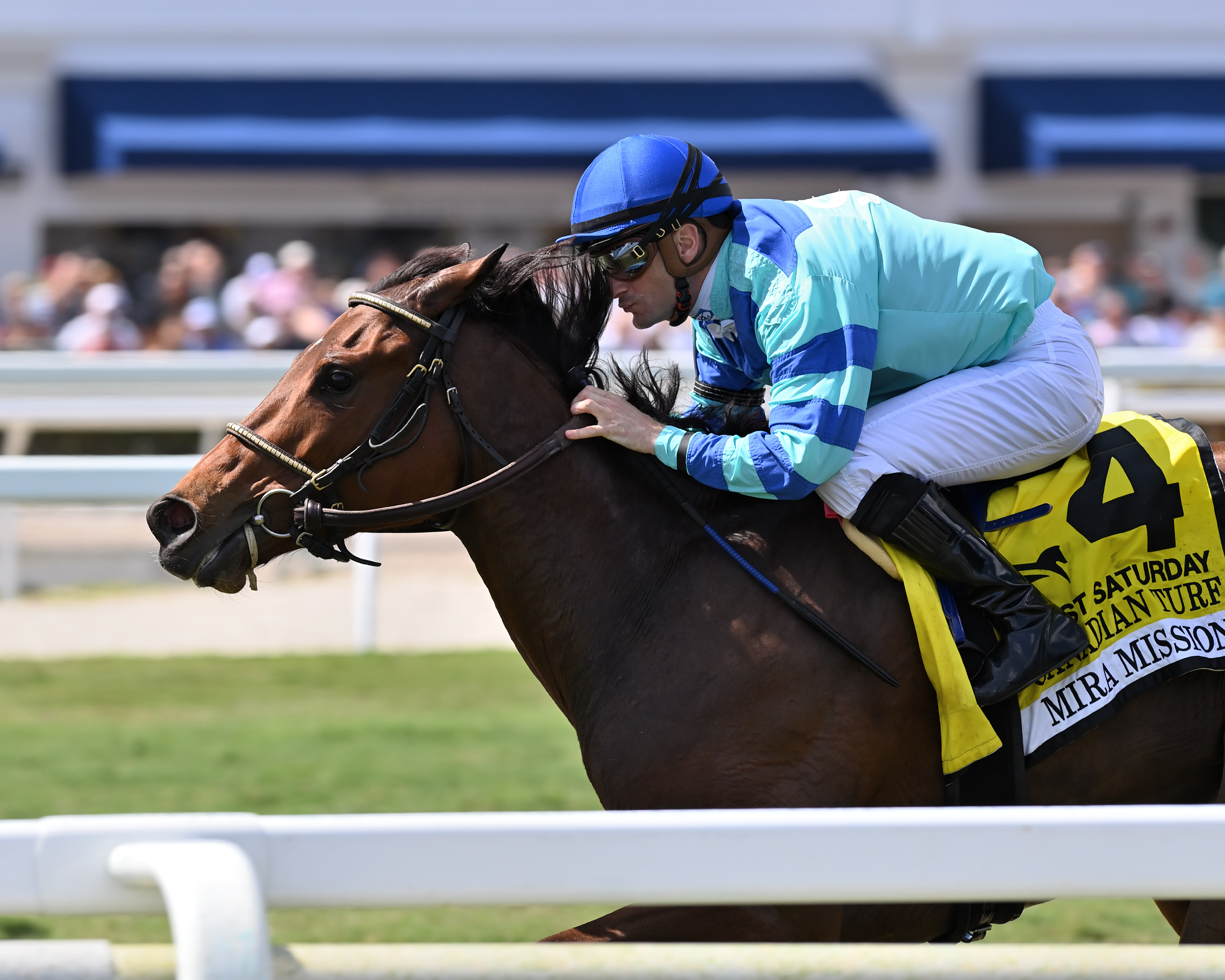 Mira Mission/Canadian Turf