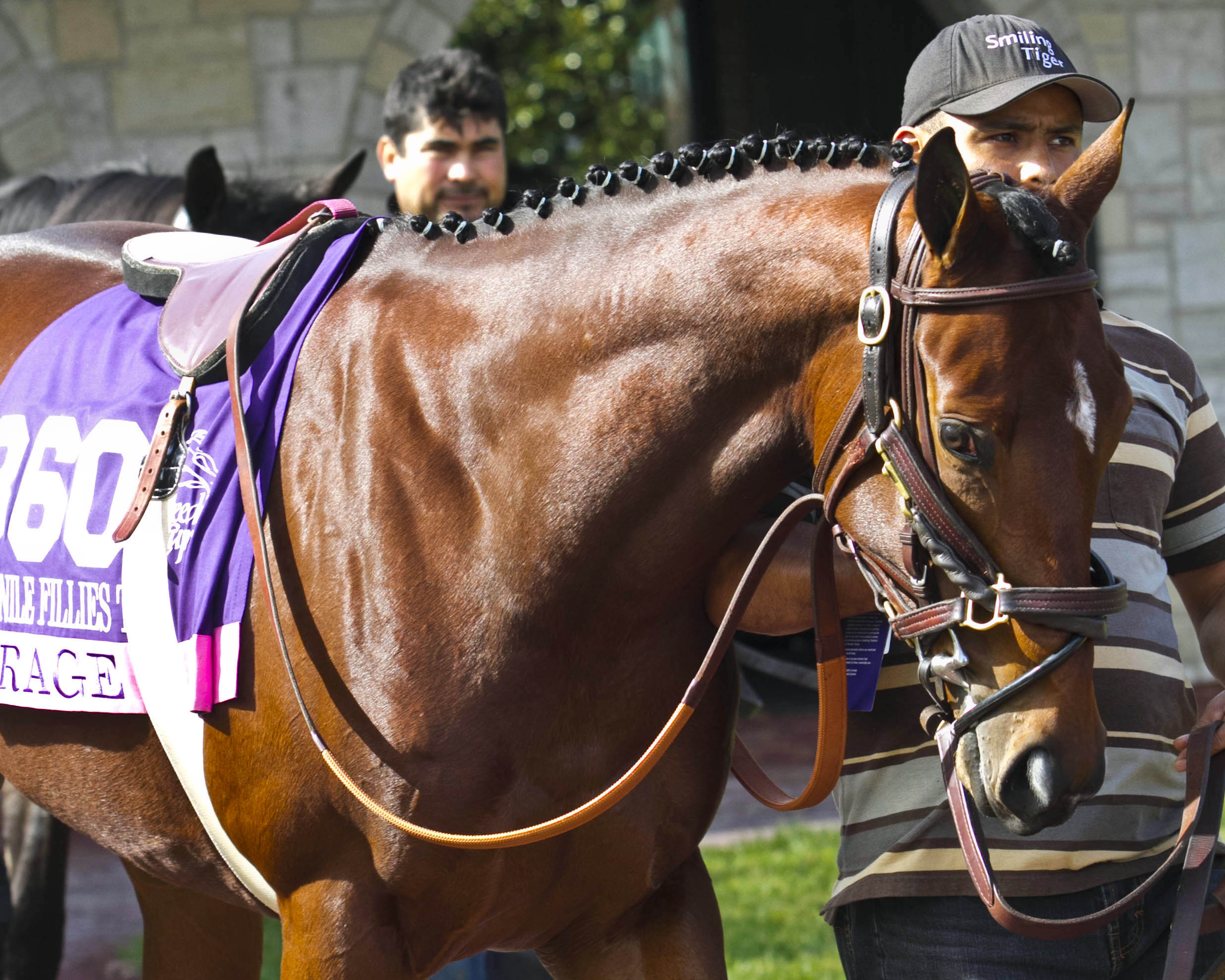 Mirage at the Breeders' Cup Juvenile Fillies Turf