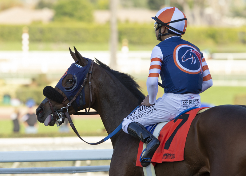 Mirth following victory in the 2019 Robert J. Frankel Stakes