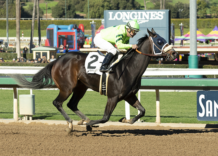 Miss Fia wins a Jan. 6 maiden race