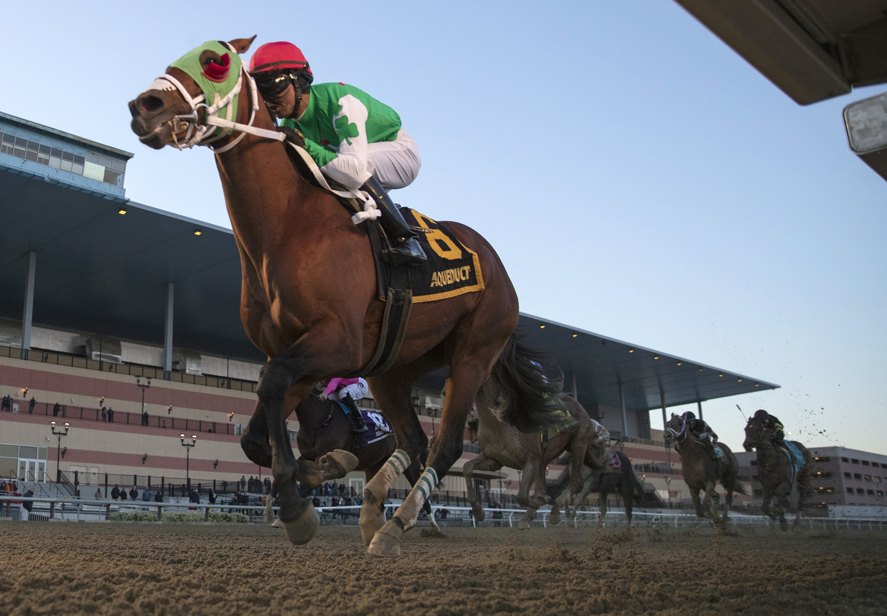 Mischevious Alex wins the 2020 Gotham Stakes