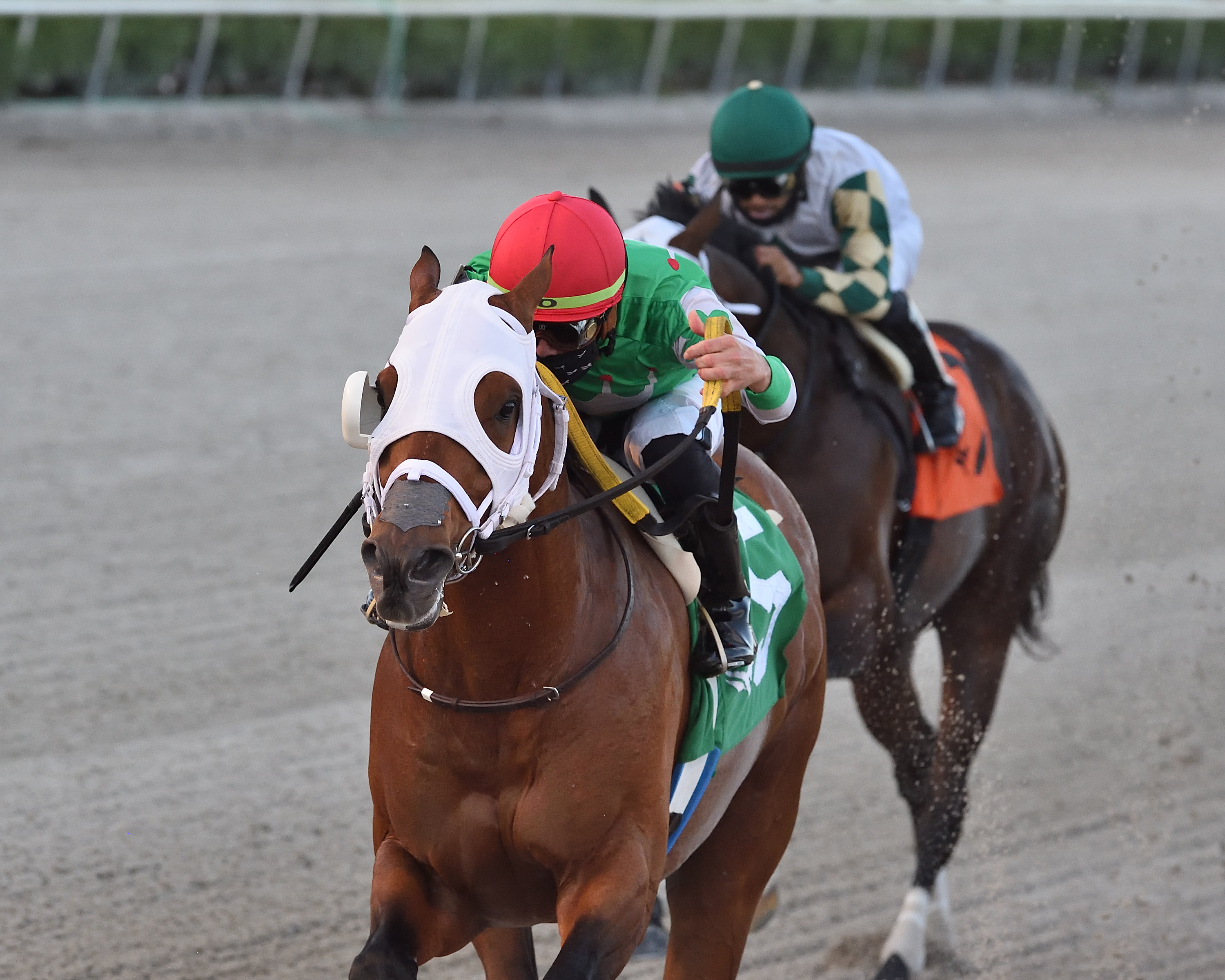 Mischevious Alex wins the Gulfstream Sprint.2-13.2021
