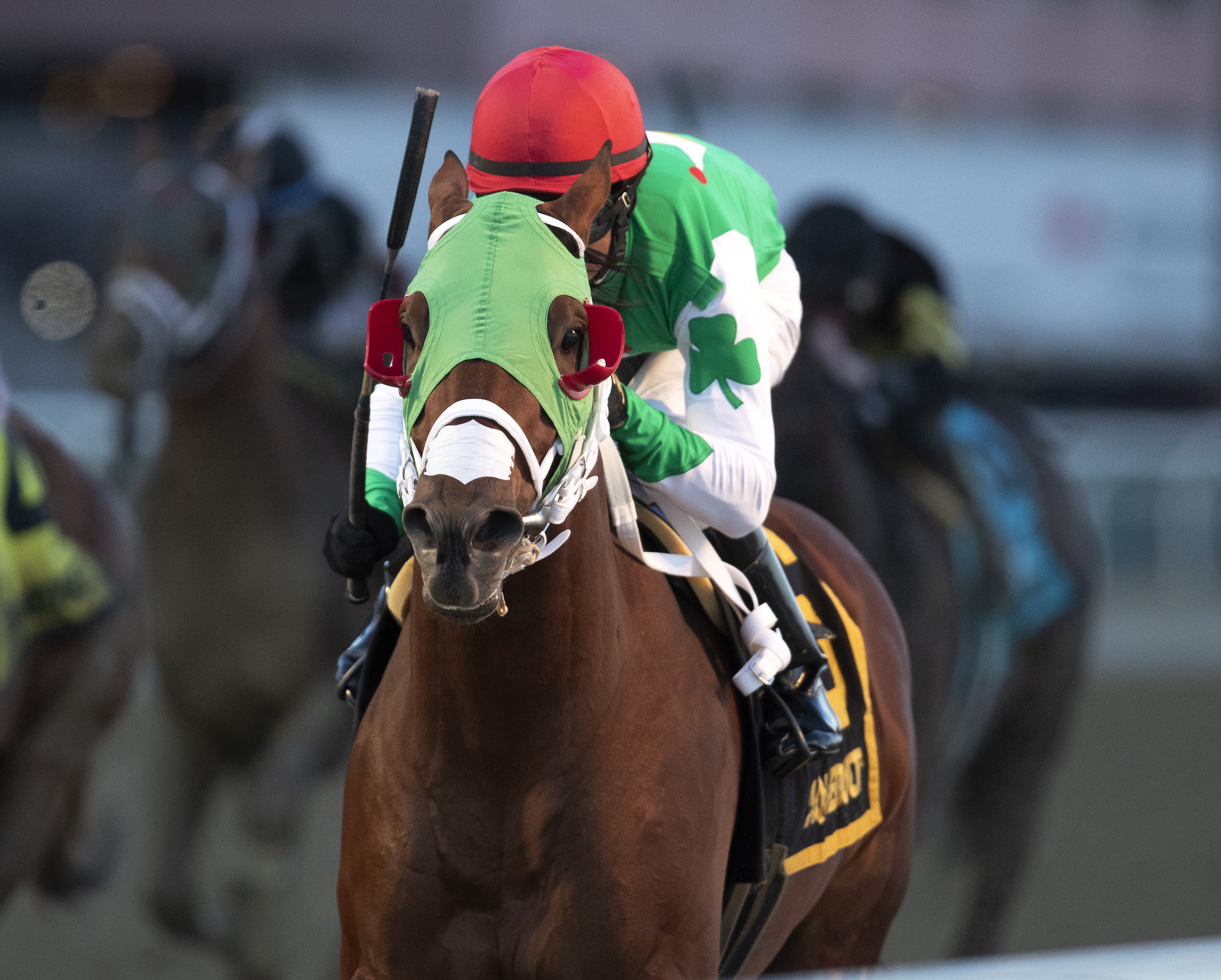 Mischevious Alex wins the 2020 Gotham Stakes