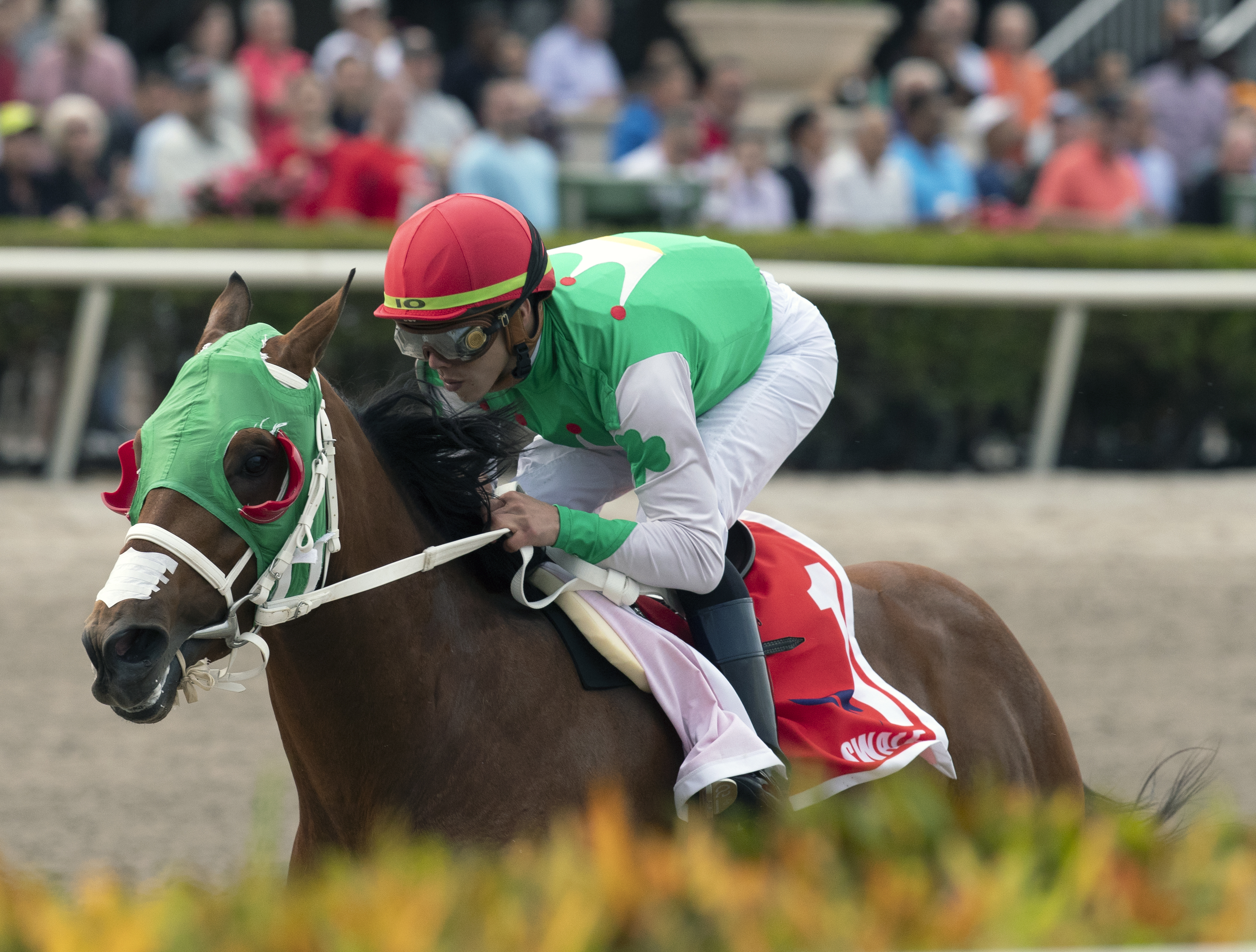 Mischevious Alex wins the 2020 Swale Stakes at Gulfstream Park