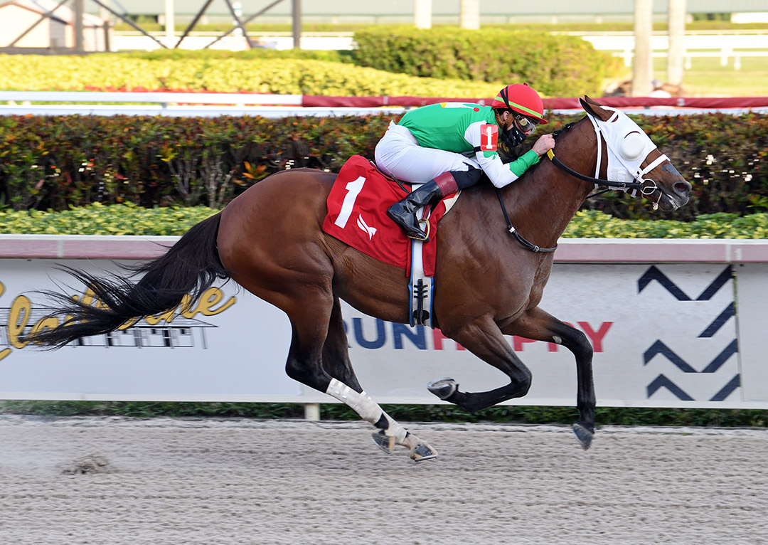 Mischevious Alex wins a Jan. 10 allowance at Gulfstream