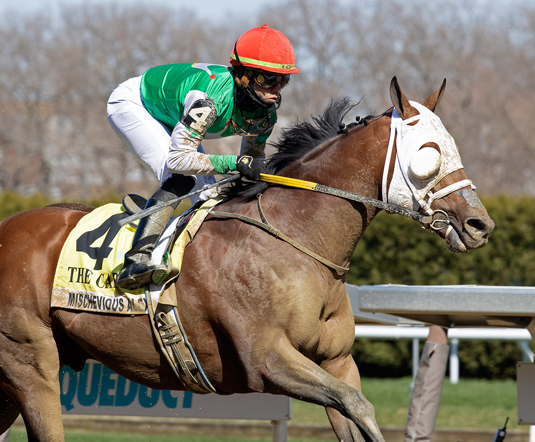 Mischevious Alex wins the 2021 Carter Handicap at Aqueduct Racetrack