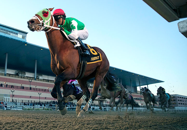 Mischevious Alex wins the 2020 Gotham Stakes at Aqueduct
