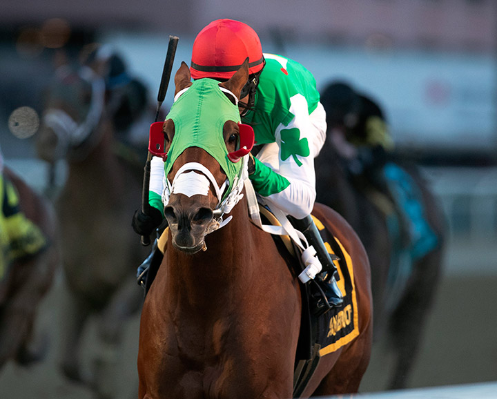 Mischevious Alex wins the 2020 Gotham Stakes at Aqueduct