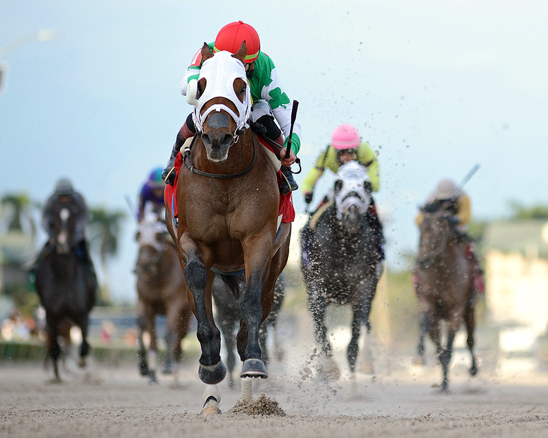 Mischevious Alex wins a Jan. 10 allowance at Gulfstream