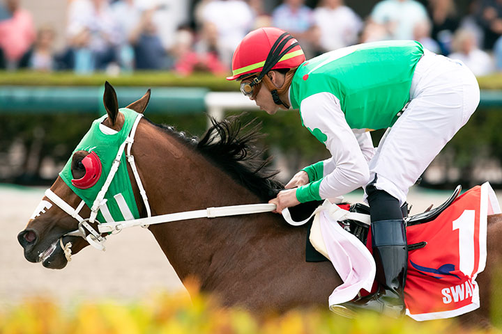 Mischevious Alex wins the 2020 Swale Stakes at Gulfstream Park