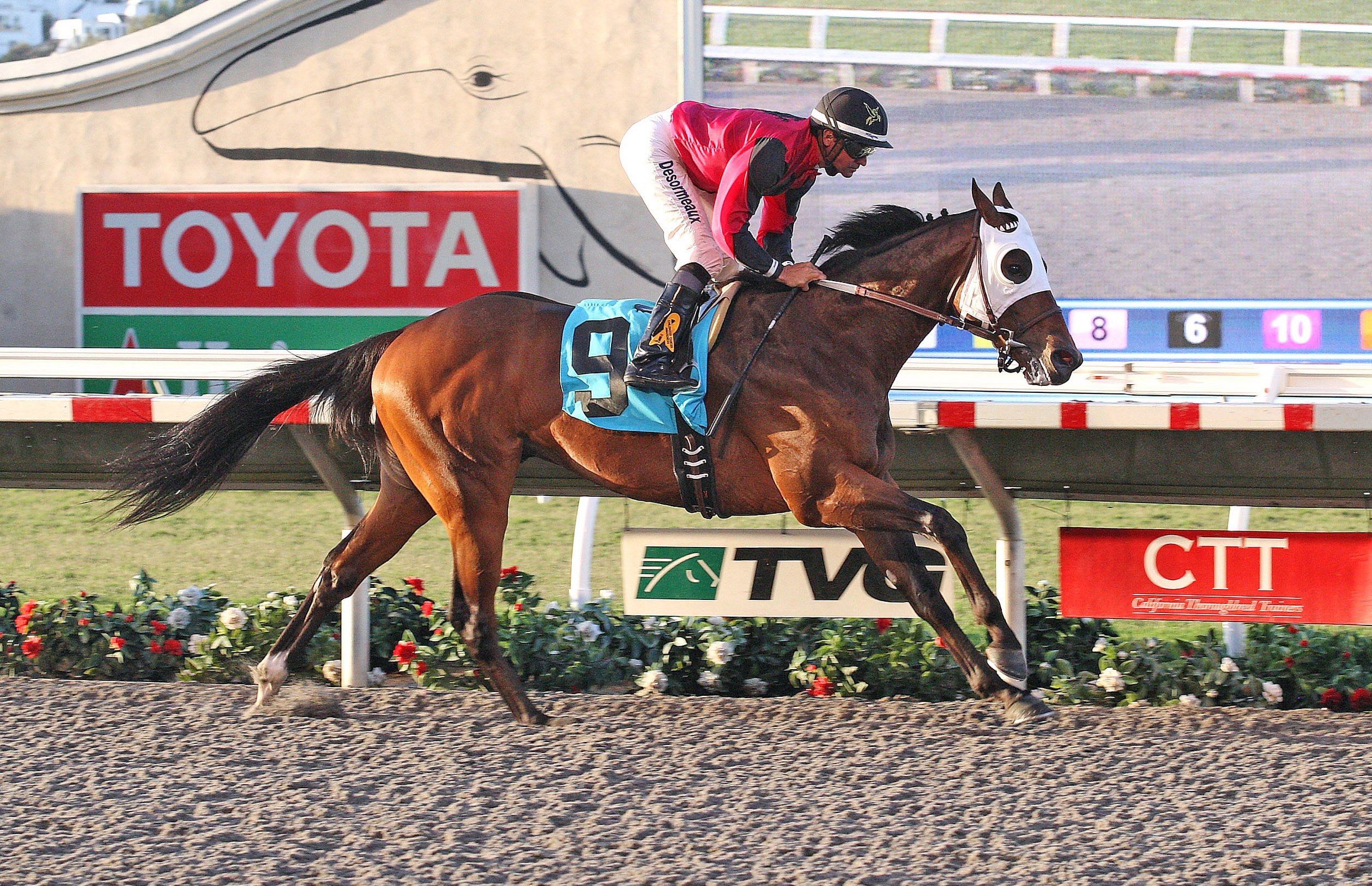 Mischief Clem wins a maiden race