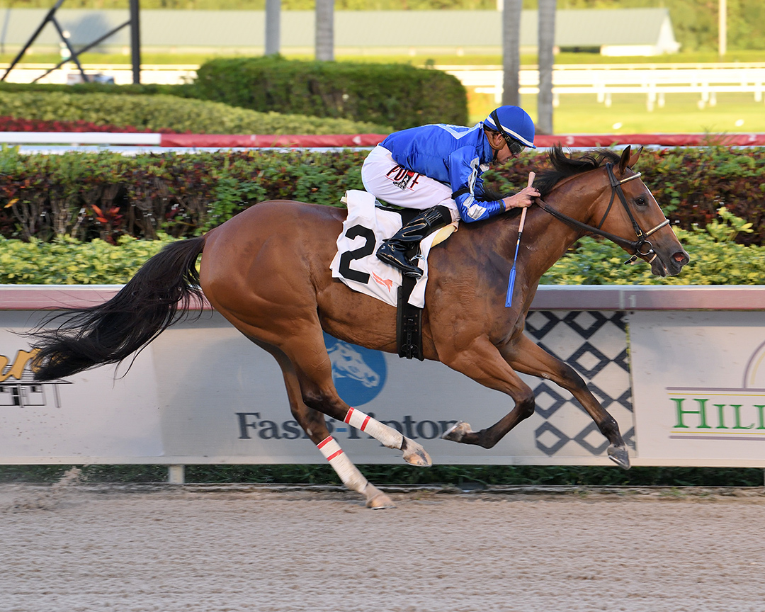 Mischiefful wins a March 7 maiden race at Gulfstream Park