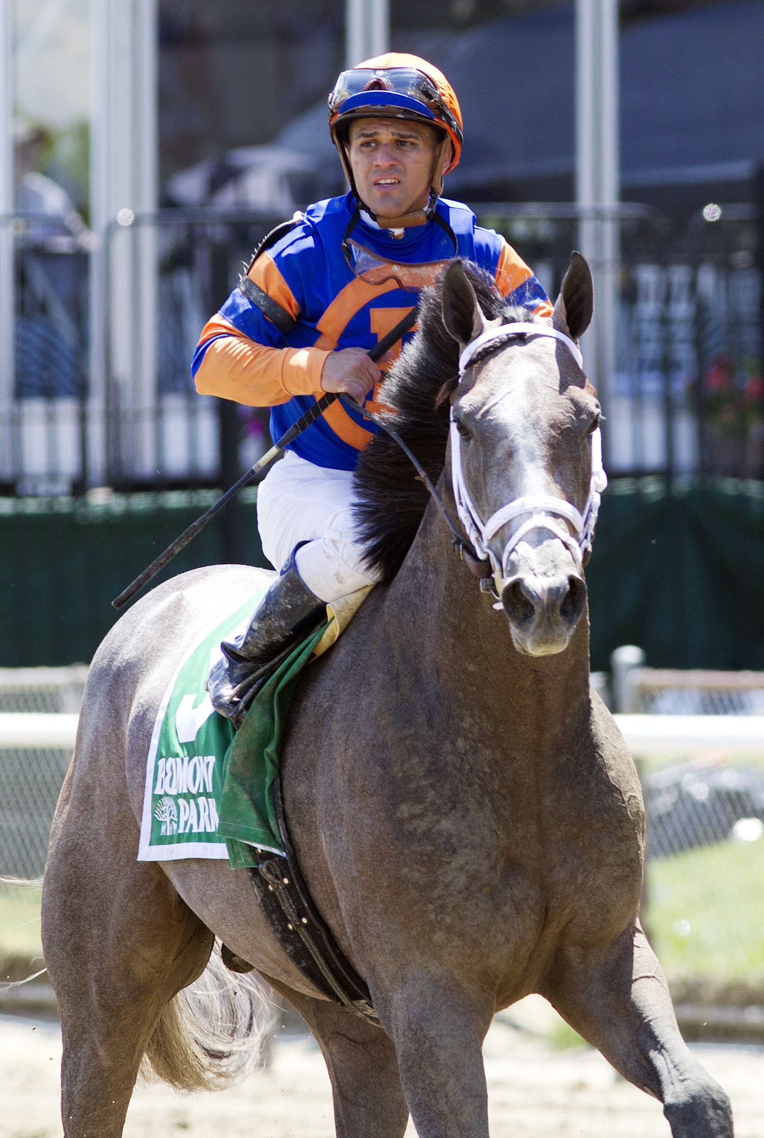 Misconnect at the Easy Goer Stakes