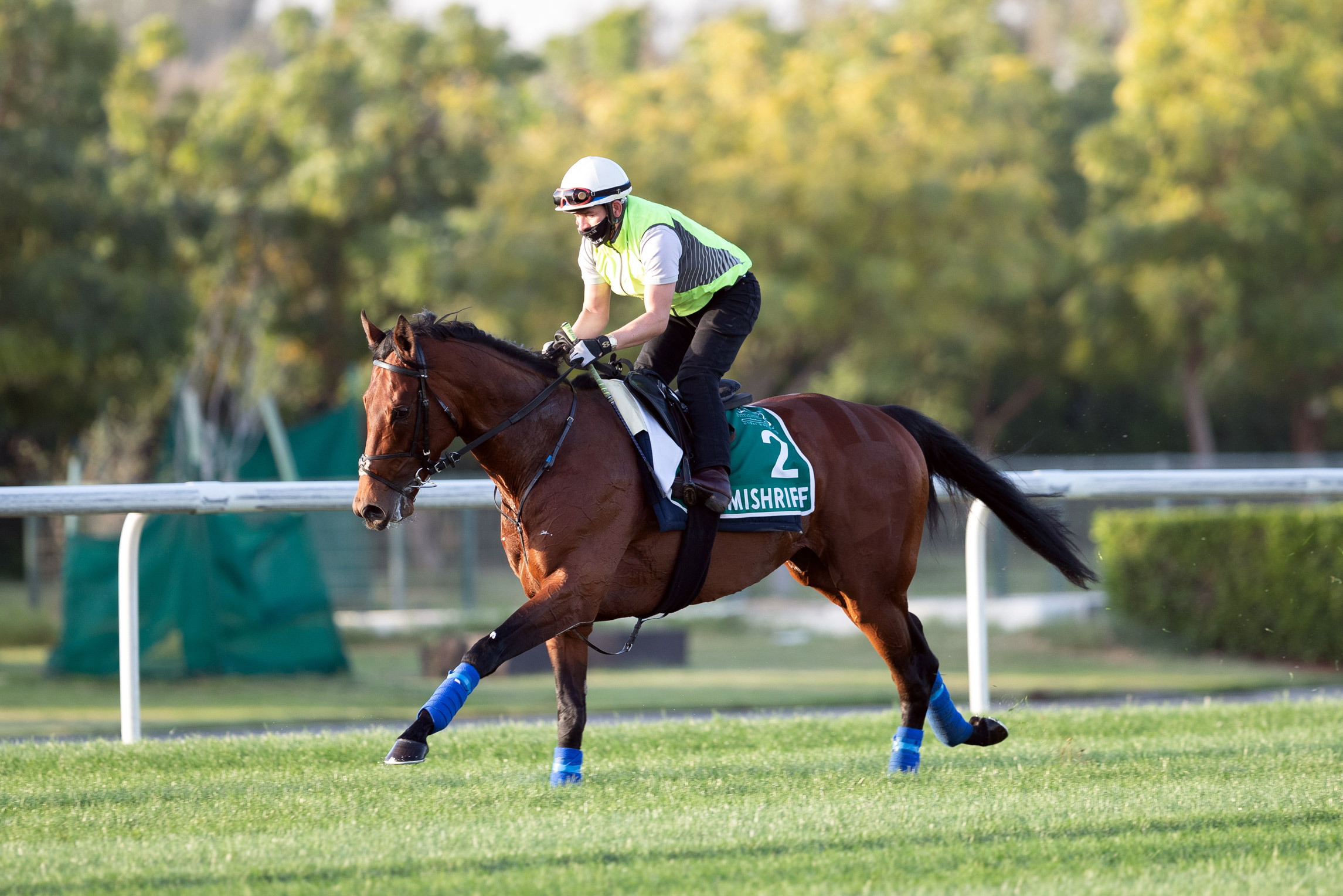 Mischriff trains at Meydan Racetrack on March 23