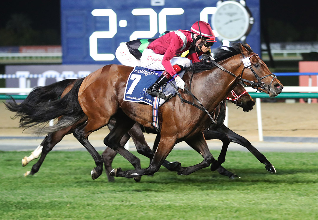Mishriff (7) wins the 2021 Sheema Classic at Meydan Racetrack