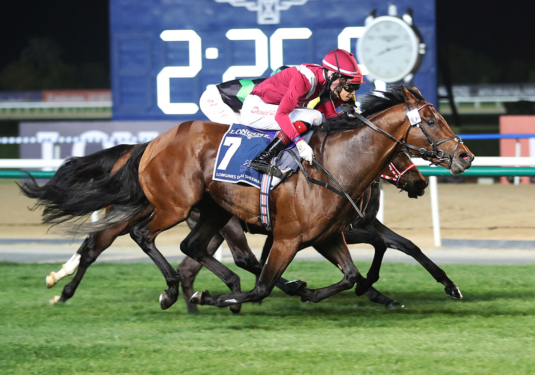 Mishriff (7) wins the 2021 Dubai Sheema Classic at Meydan Racecourse