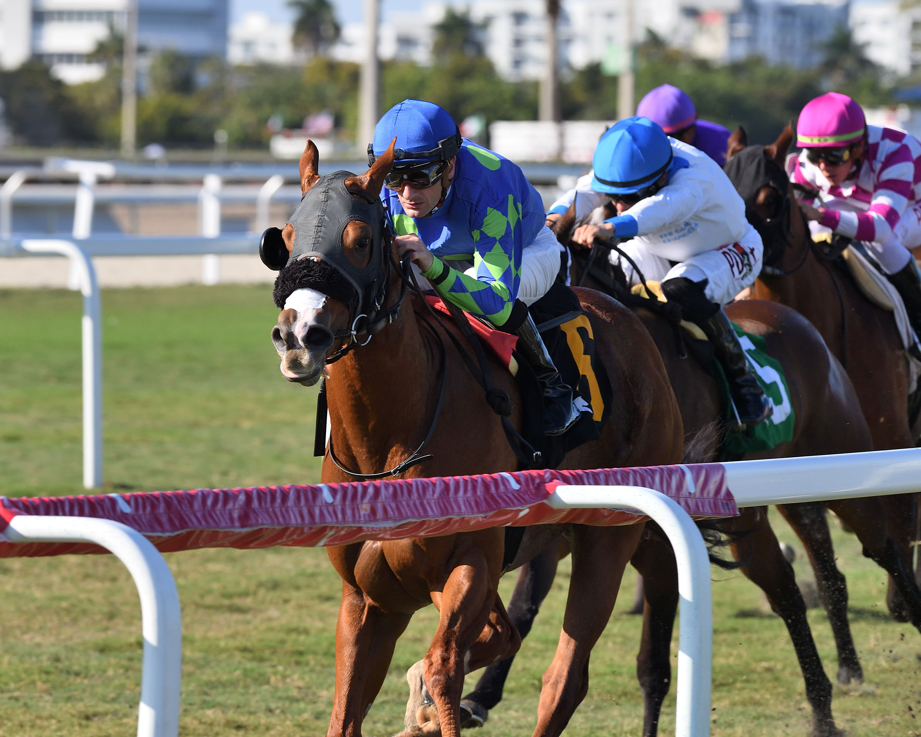 Miss Auramet wins Ladies Turf Sprint 2-13-2022